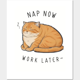 NAP NOW SLEEP LATER CAT Posters and Art